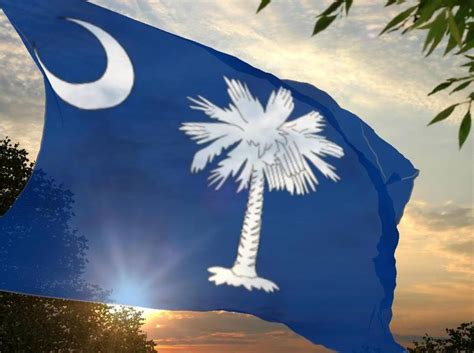 South Carolina Message Board: Connect, Share, and Discover the Palmetto State