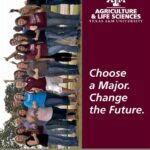 TAMU Change of Major: A Comprehensive Guide for Students