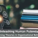 Organisational Psychology Internship: A Deep Dive into the Intricacies of Human Behaviour in the Workplace