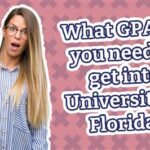 IB School and Getting into University of Florida: A Comprehensive Guide for Aspiring Gators