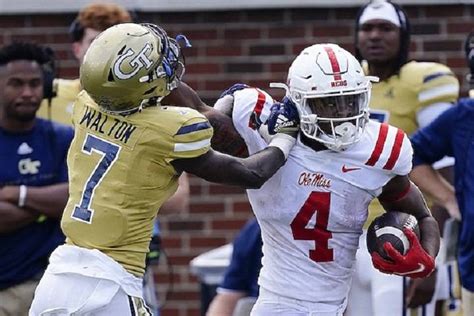 Georgia vs. FAU: A Gridiron Clash in the Sunshine State