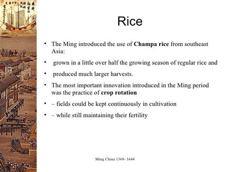 How Did Champa Rice Affect the Economy?