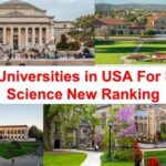 Best Political Science Courses at the University of Florida