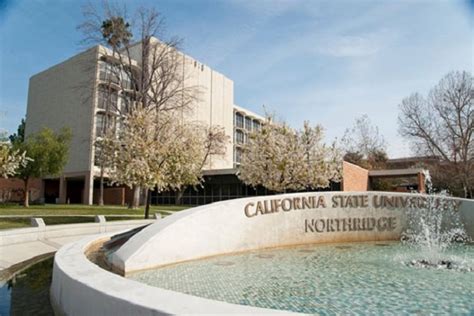 California State University, Northridge: A Gateway to a World of Psychological Discovery