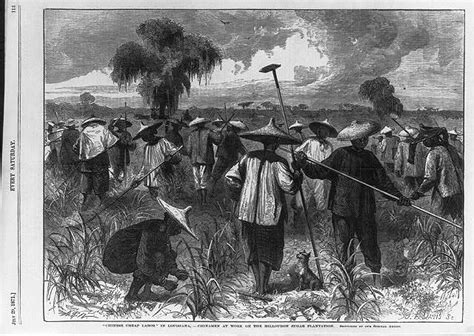 How Did the End of Slavery Impact Labor Migration of Chinese People?