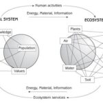 Human Geography vs. Human Ecology: Exploring the Interplay of People and Environments