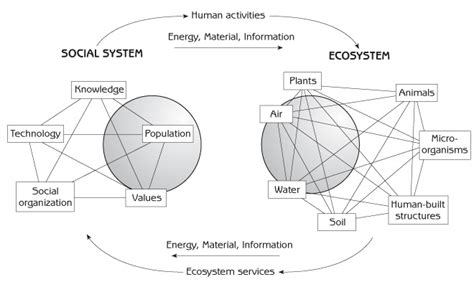 Human Geography vs. Human Ecology: Exploring the Interplay of People and Environments