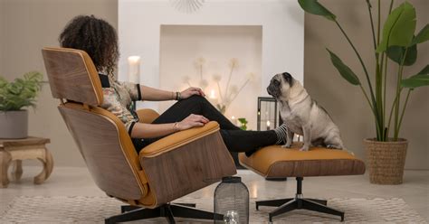 Luxuriate in Comfort: The Ultimate Guide to Selecting the Perfect Dorm Lounge Chair