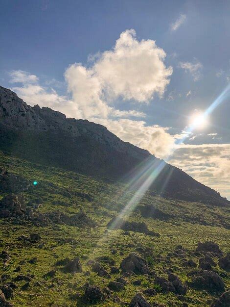 Phoenix to Wichita: Embark on a Soaring Journey from the Desert to the Heartland