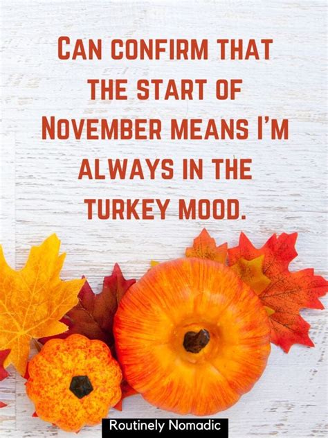 Funny Quotes for November: Stay Warm, Embrace the Holidays, and Laugh Your Way Through