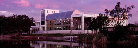 Eckerd College Library: A Hidden Gem for Academic Excellence