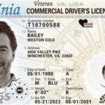 Virginia Driver’s License: Everything You Need to Know