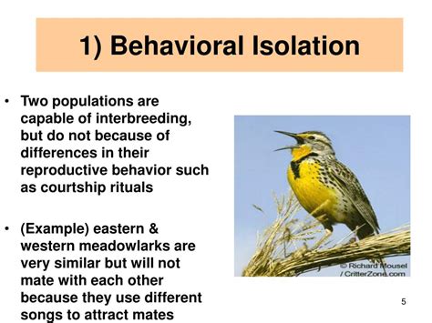 Examples of Behavioral Isolation Benefits of Addressing Behavioral Isolation Common Mistakes to Avoid When Addressing Behavioral Isolation How to Address Behavioral Isolation