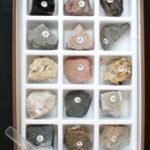 Rock Collection College Essay: A Comprehensive Guide to Geology’s Foundation