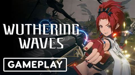 Wuthering Waves Fair Use Assets on Reddit