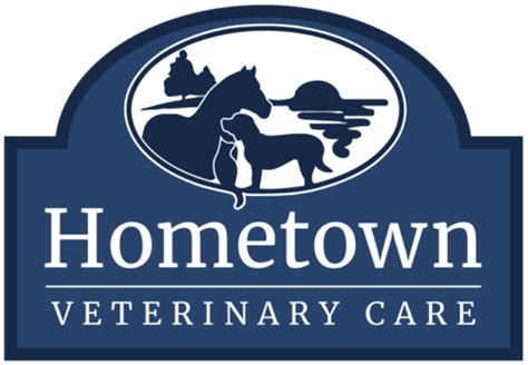 Hometown Vet Fairfield: Your Trusted Companion in Animal Care