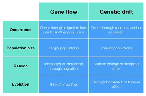 Genetic Flow vs. Drift: Unraveling the Dynamics of Gene Pool Evolution
