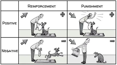 Operant Conditioning: Shaping Behavior Through Positive and Negative Reinforcement