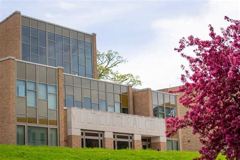 Western International University: The Pinnacle of Academic Excellence in a Dynamic Global Landscape