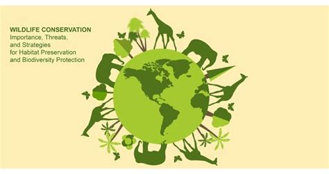 Vegetation: The Breath of Our Planet Challenges and Conservation Conservation Strategies Future Perspectives and Innovations Tables Frequently Asked Questions