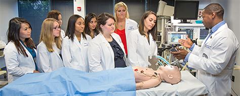 Anesthesia Assistant Programs in Florida: A Comprehensive Guide