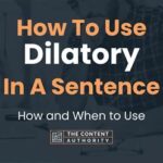 Use Dilatory in a Sentence