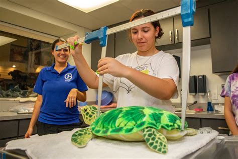 Baltimore Aquarium Jobs: Embark on a Rewarding Career in Marine Conservation