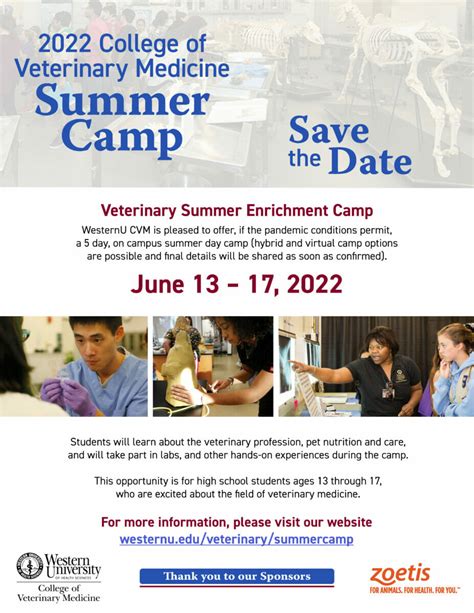 Veterinary Summer Camps 2024: A Comprehensive Guide