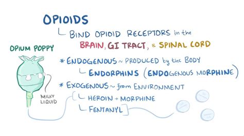 AP Psych: Definition and Effects of Opioids