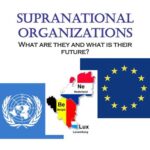 Supranational Organizations: Global Collaborators and Regulators