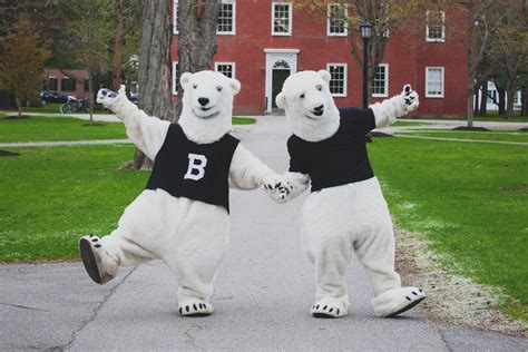 Bowdoin Polar Bears: A Dominant Force in DIII Athletics