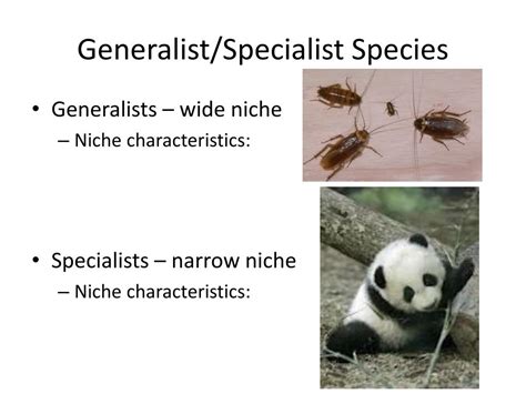 Generalist Species Examples: Adaptable Survivors in Diverse Ecosystems