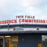 Twin Falls Livestock Market Report: A Comprehensive Outlook