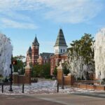 Toomer’s Corner: The Beating Heart of Auburn University History and Significance The Legend of the Toomer’s Oaks Traditions and Celebrations Economic Impact Preservation and Future Plans Frequently Asked Questions Conclusion Additional Resources Tables