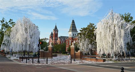 Toomer’s Corner: The Beating Heart of Auburn University History and Significance The Legend of the Toomer’s Oaks Traditions and Celebrations Economic Impact Preservation and Future Plans Frequently Asked Questions Conclusion Additional Resources Tables