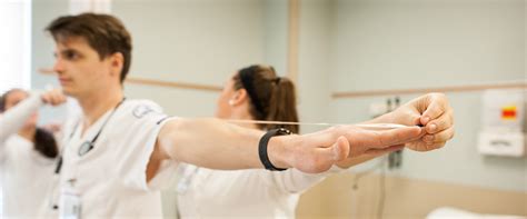 Best Pre-Physical Therapy Programs: A Comprehensive Guide to Choosing the Right Pre-PT Pathway