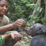 NC Zoo Careers: A World of Conservation and Animal Care