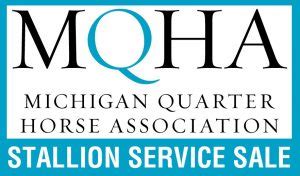 Michigan Quarter Horse Association: A Breeding Ground for Success