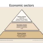 Primary Sector Definition in AP Human Geography: A Comprehensive Guide