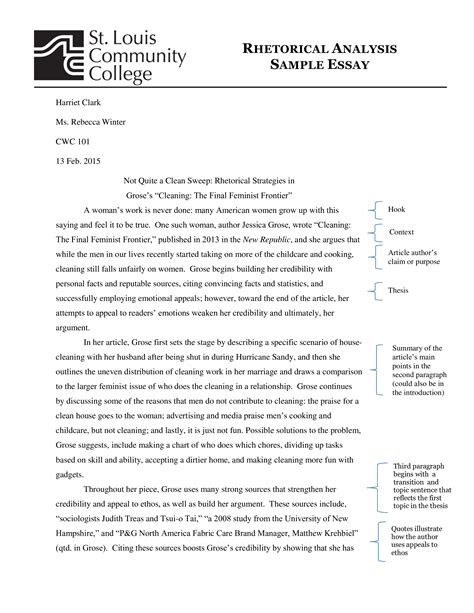 Example of Rhetorical Analysis Essay