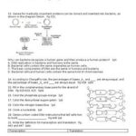 Florida Biology EOC: A Comprehensive Guide