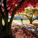 Ask Banner Vassar: The Ultimate Guide to Student Life, Applications, and Financial Aid