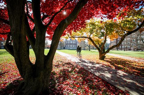 Ask Banner Vassar: The Ultimate Guide to Student Life, Applications, and Financial Aid