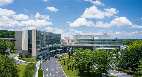 Penn State University’s Pre-Med Program: A Comprehensive Guide