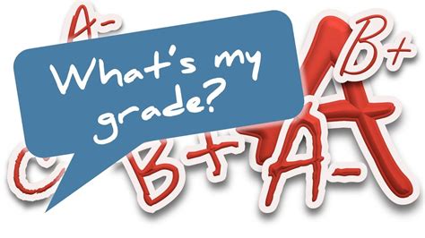How Can You Check Your Grades?