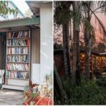 Southern Crescent Bookstore: Your Literary Oasis in the Heart of the South