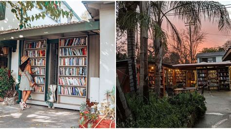 Southern Crescent Bookstore: Your Literary Oasis in the Heart of the South