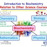 Introduction Defining Biochemistry and Chemistry Key Differences between Biochemistry and Chemistry Overlapping Areas and Applications Impact and Examples of Applications Conclusion