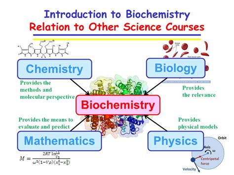 Introduction Defining Biochemistry and Chemistry Key Differences between Biochemistry and Chemistry Overlapping Areas and Applications Impact and Examples of Applications Conclusion