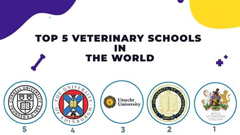 Top-Rated Veterinary Schools: Embark on an Extraordinary Journey of Animal Care Methodology Top-Rated Veterinary Schools Key Considerations Conclusion